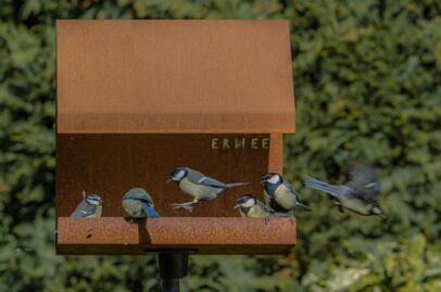 2020-03-21 vogelhuis