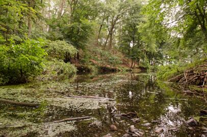 2019-08-03 DSC_0758-2