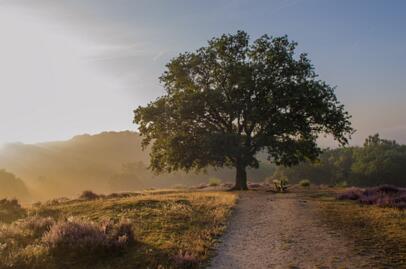 2019-08-30 DSC_2059-2