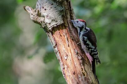 2019-09-12 DSC_2531-2