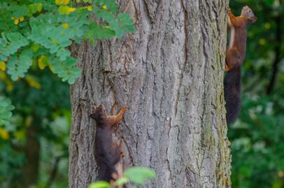 2019-10-19 DSC_3480-bewerkt-2