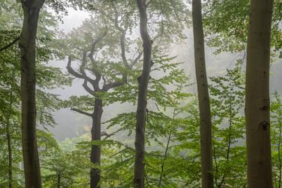 2021-10-23 DSC_0051-HDR