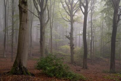 2021-10-23 bij de 3 vijvers (2 van 8)
