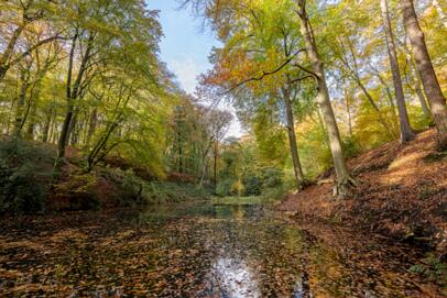 2021-11-05 DSC_1068-HDR-2