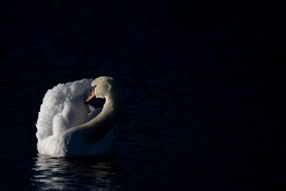 2021-12-25 DSC_2175-3