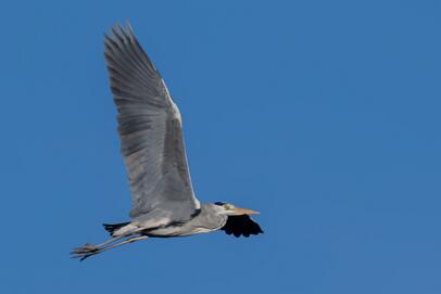 2021-12-25 DSC_2270-2