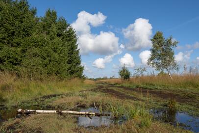 2022-09-21 2022-09-21 DSC_5980fs