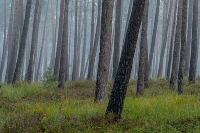 2022-09-28 DSC_6336fs