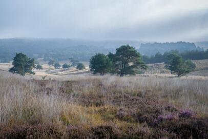 2022-09-28 DSC_6414fs