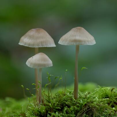 2022-10-08 DSC_6948fs