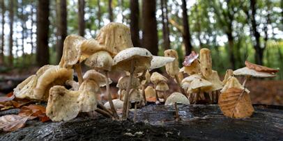 2022-10-15 DSC_7017fs