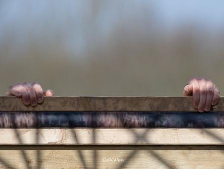 Photos 2022 04-09 Strong Viking Wijchen