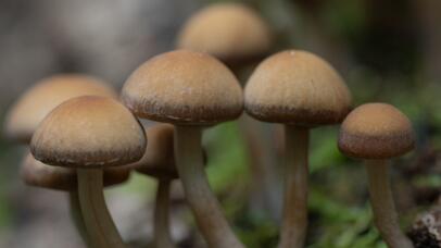 2023-10-07 DSC_6119-Verbeterd-NR