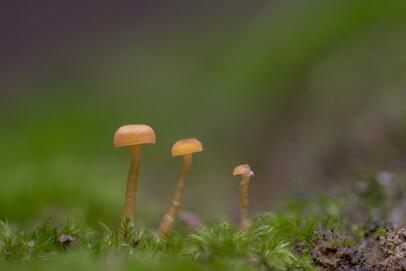 2023-10-08 DSC_6376fs