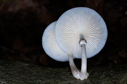 2023-10-08 DSC_6435fs