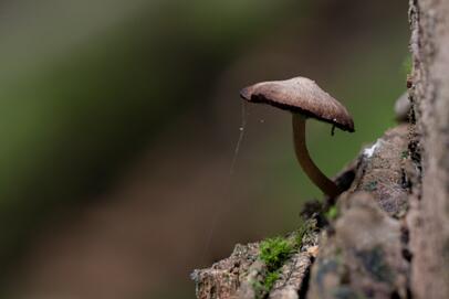 2023-10-08 DSC_6524fs