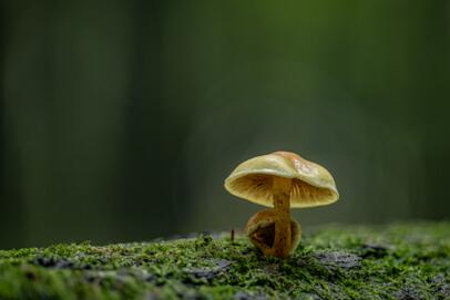 2023-10-27 DSC_6969fs