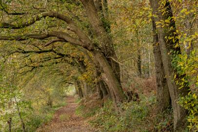 2023-11-19 DSC_7530-2