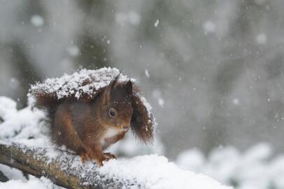 2026-01-03 DSC_7975 null